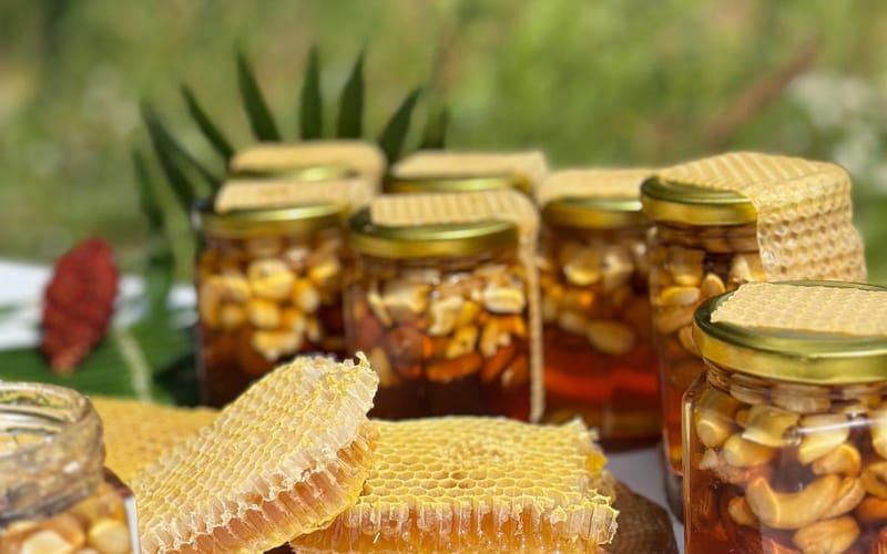 Jars of honey and cut honeycomb arranged on a bench, as a sample set might be presented.